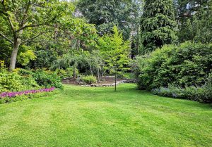 Optimiser l'expérience du jardin à Fontenay-les-Briis